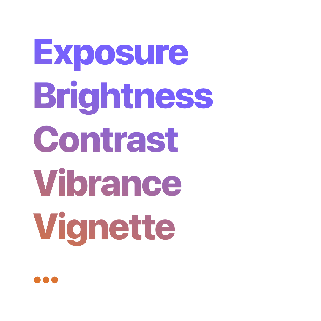 Exposure, Brightness, Contrast, Vibrance, Vignette and more
